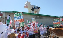 Qld public gets clear milk message