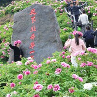 CHINA-CHONGQING-DIANJIANG-PEONY INDUSTRY-TOURISM (CN)