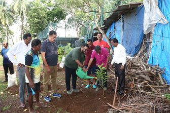Mumbai Cricket Association organises tree plantation drive at cross maidan on World Environment Day
