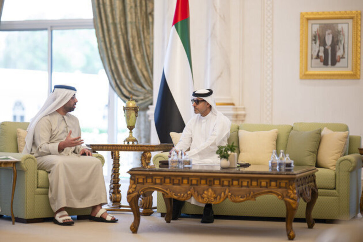 Hazza bin Zayed reviews updates, development plans of energy, water sectors in Al Ain Region