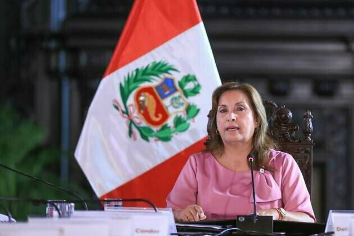 Peru: Veto 'Anti-NGO' Law