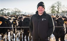 Teamwork drives large-scale dairy farm