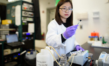 Chong Liu examines a carbon-amidoxime electrode as part of research to improve extraction of uranium from seawater