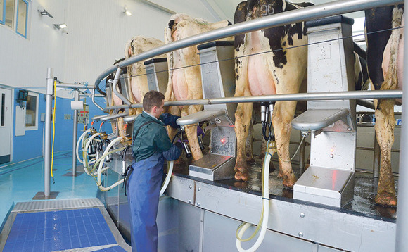 Dairy matters: "You need to consider why would people choose dairy farming?