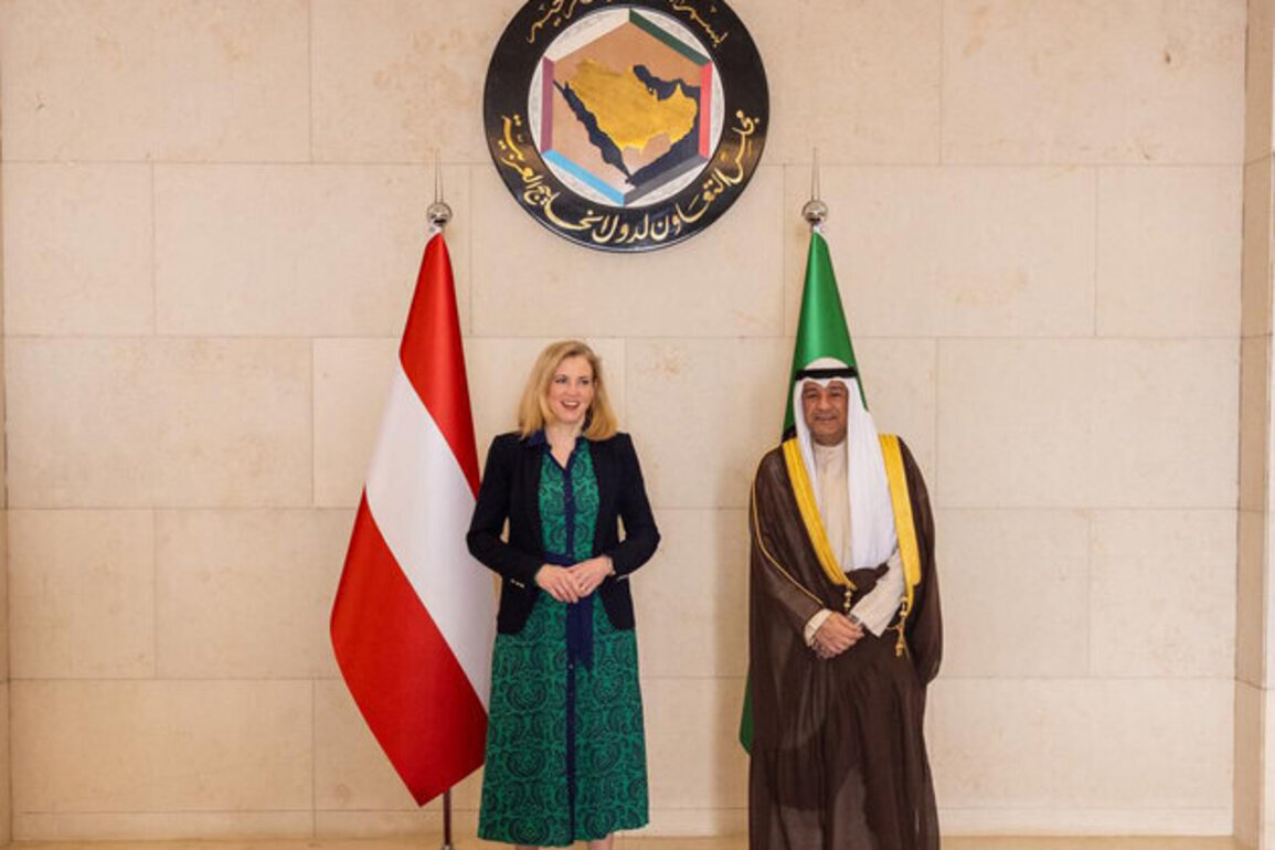 GCC Secretary-General discusses regional developments with Austria's Foreign Minister