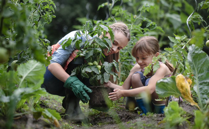 There are so many benefits to getting your kids out in the garden and engaging with the growing process