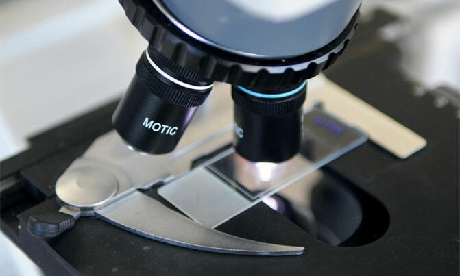 Researchers get insight on cancer's origin Researchers get insight on cancer's origin
