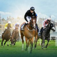 Eleven horses line up in Netherlands for 8th leg of UAE President's Cup for Purebred Arabian Horses