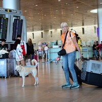 Israel: Ben Gurion Airport's Terminal One to reopen in time for post-war travel surge