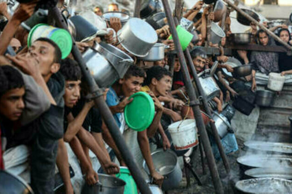 'All of Gaza will be Jewish' - Israeli minister