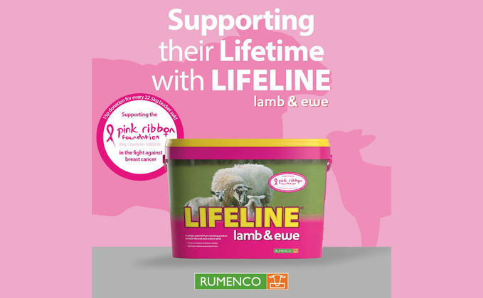 Rumenco turns feed bucket pink to raise awareness of breast cancer