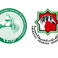 UAE-Germany agreement opens horizons for studbook of Arabian horses worldwide