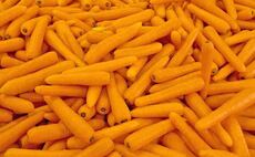 Growers come together to unveil British Carrot Day