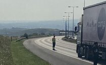 Cow 'chilling' on M62 causes disruption for travellers  
