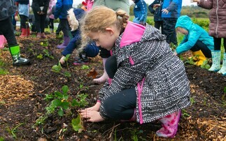 OPINION: Gov changes to school meals is half the battle – farming education is the other