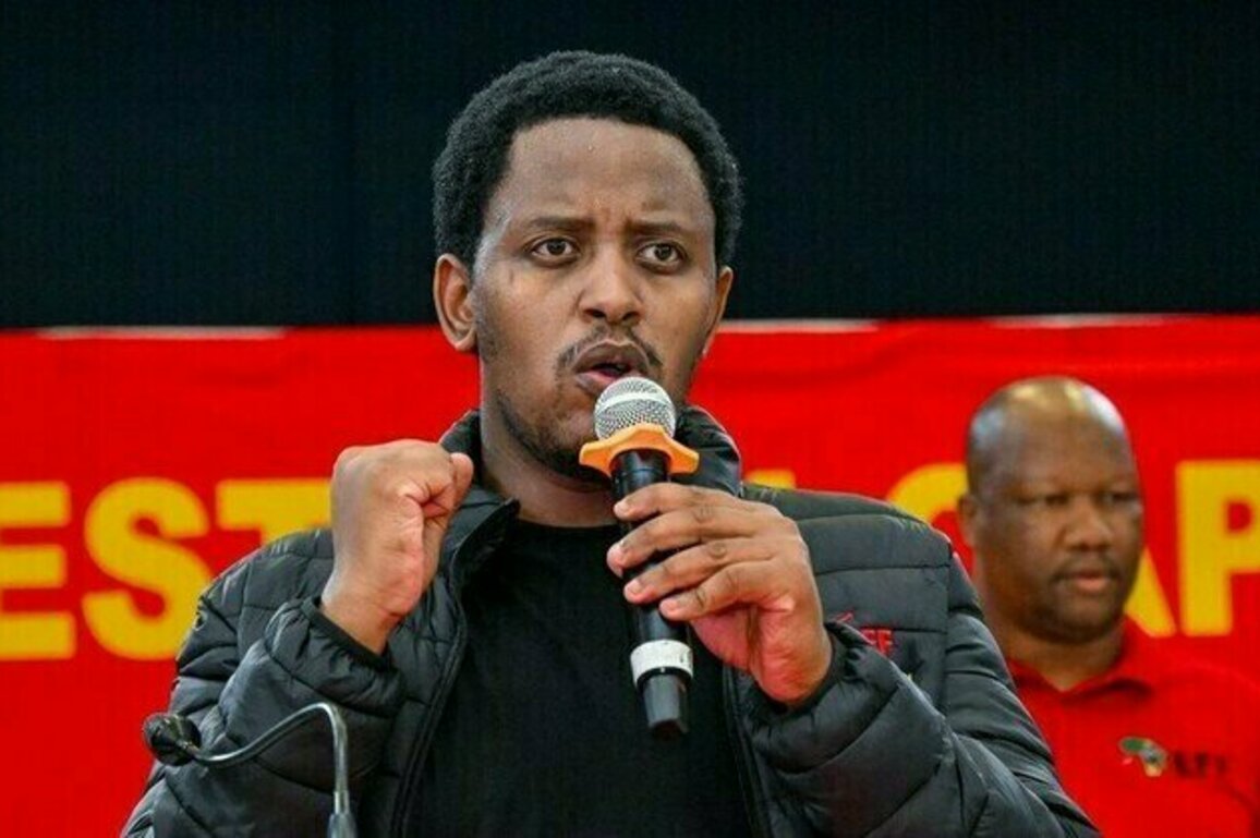 Another party sues South African parliament over budget