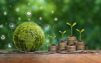 ICSWG publishes updated climate competency guide