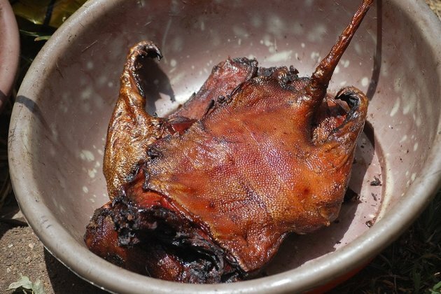 Bushmeat in Ghana: consumer profiles may point the way to conservation