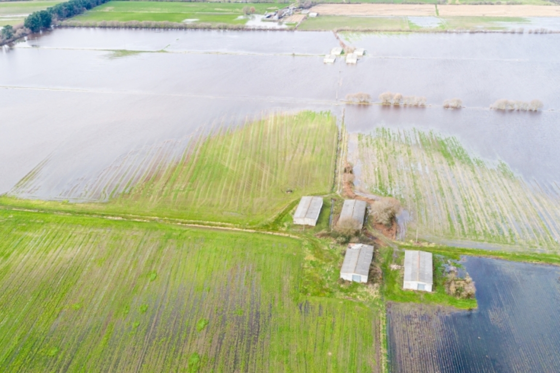 Record May rainfall causes major struggles for Alabama farmers