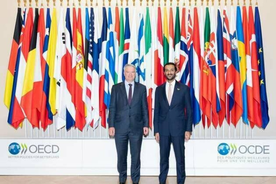 UAE, OECD Discuss Strengthening Partnership in Paris