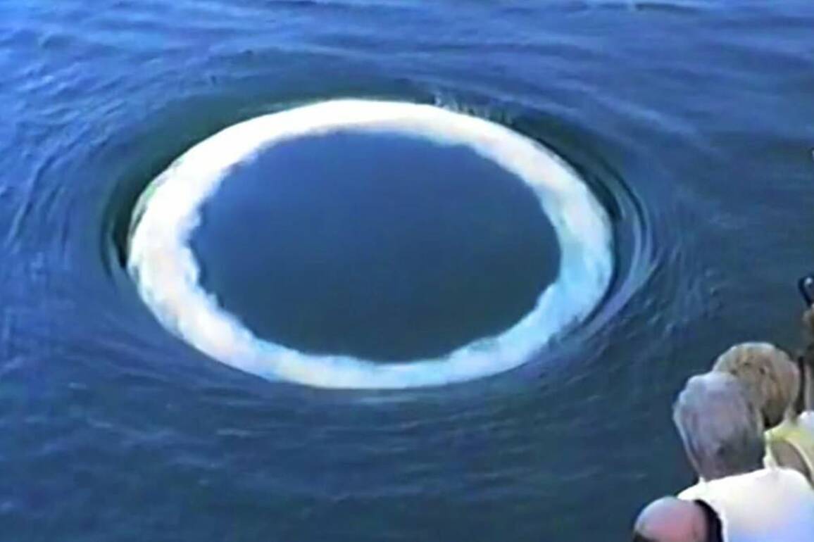 Scientists identify strange 'communication' of non-human intelligence in Earth's oceans