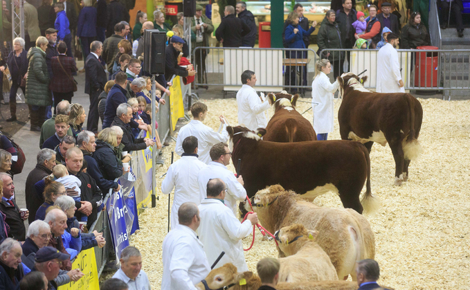 English Winter Fair cancelled due to bluetongue risk