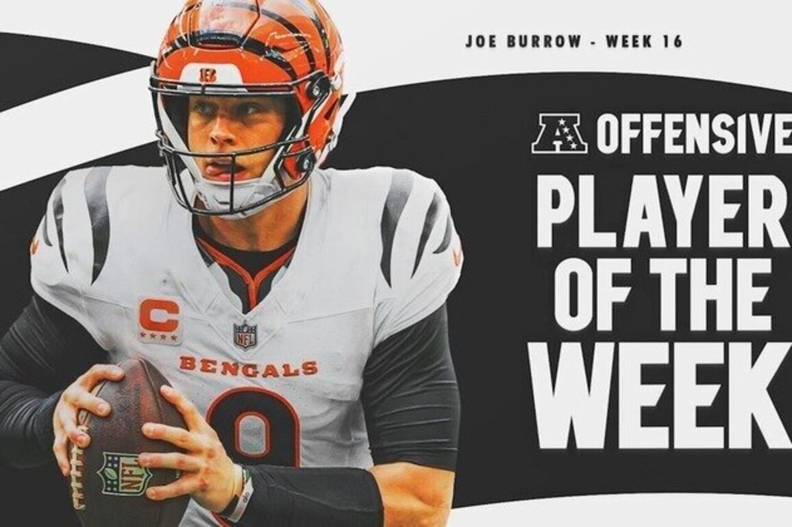 Joe Burrow Named AFC Offensive Player of the Week