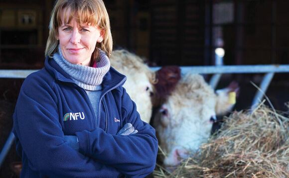 Levelling up rural Britain can create jobs, boost green economic growth and improve wellbeing  NFU