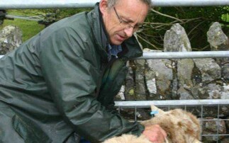 Inquest reveals Welsh farmer was found dead in a slurry tank