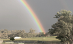 Tambourah is hoping to find more than gold at the end of the rainbow