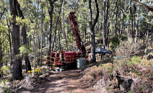 Flynn takes flight after drilling target at gold prospect in Tasmania