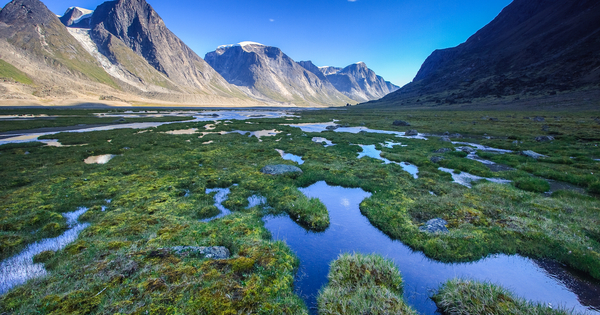 Junior explorer surges on deal for 'forgotten' Canadian gold ground