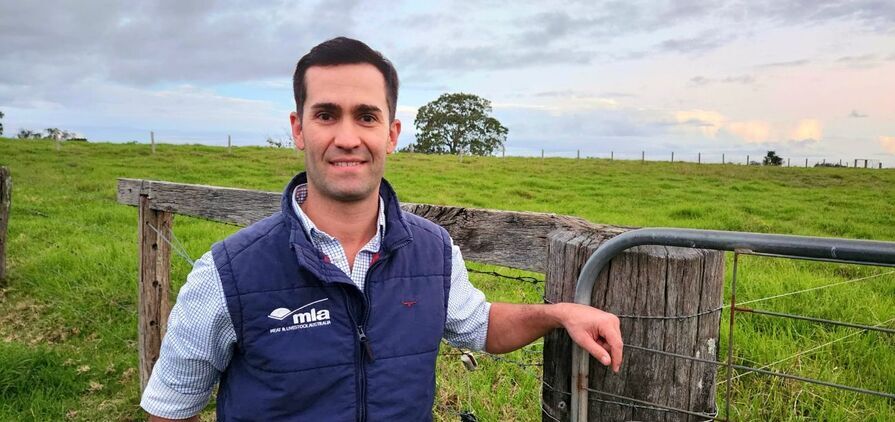 MLA adoption southern & western production systems project manager, Mitch Plumbe, said the BulkUp program aimed to give producers information needed to make big, impactful management decisions, rather than remaining stuck on day-to-day tasks.