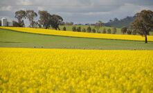 The Government is calling for industry expertise on its National Bioenergy Feedstock Strategy. 