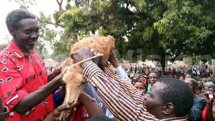  kena receives a sheep from people of tarch actory illage during his campaign hoto by udson punyo