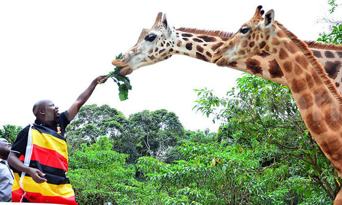 Aviation operators targeting Uganda's tourism Aviation operators targeting Uganda's tourism