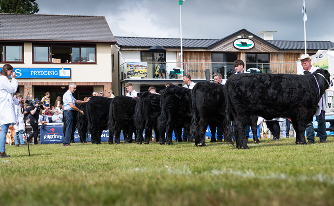 Royal Welsh Show: Limousin takes the beef crown