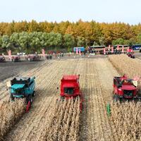 China speeding up efforts to secure autumn grain harvest