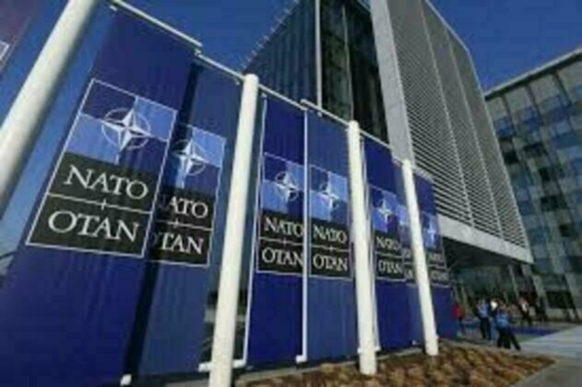 The incredible war preparations of NATO in Europe