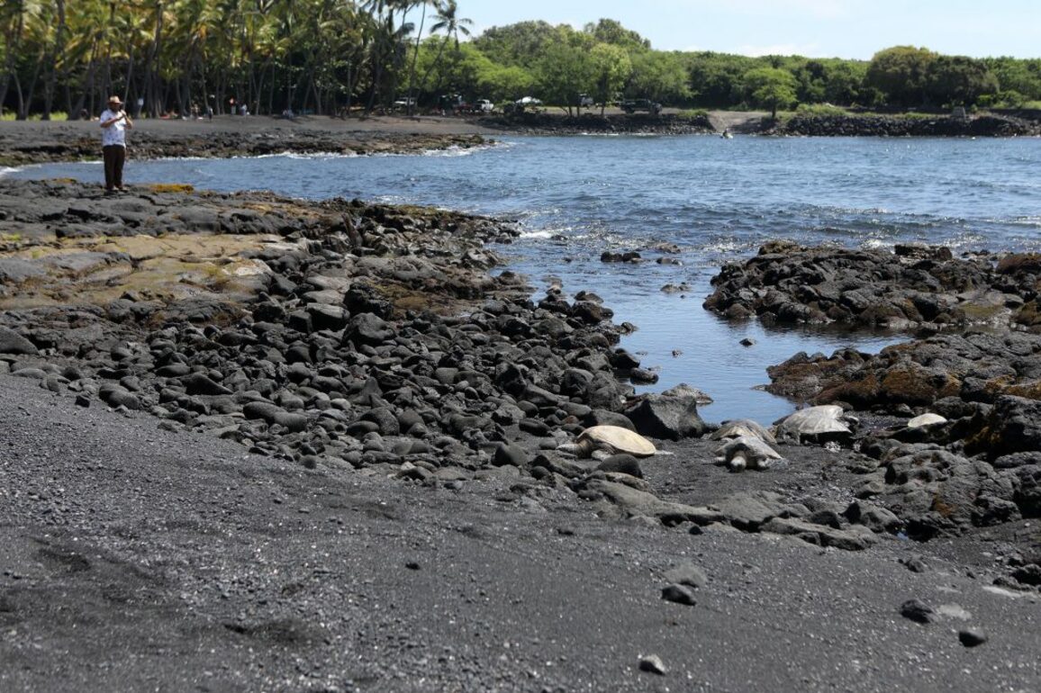 Foreclosure halts Punaluu commercial development, 147-acre property to go to public auction