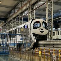 "8D magic city" unveils panda-themed monorail train in SW China