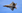 F-22 Raptor fighter jet Credit: Shutterstock / Andrew Zarivny 