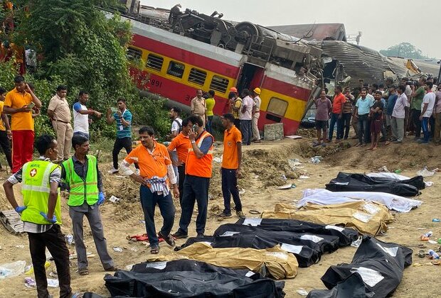 Signal error caused India&#039;s deadly train tragedy report