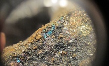 Lynx Lake cobalt sample