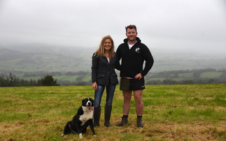 SHEEP SPECIAL: North Country Cheviots breathe new enthusiasm into Montgomery farm