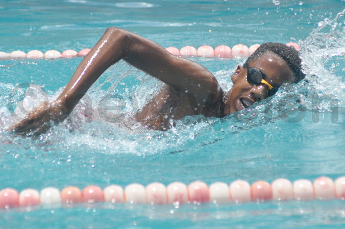 eals aphael usoke in action in the 100m freestyle hoto by ichael subuga