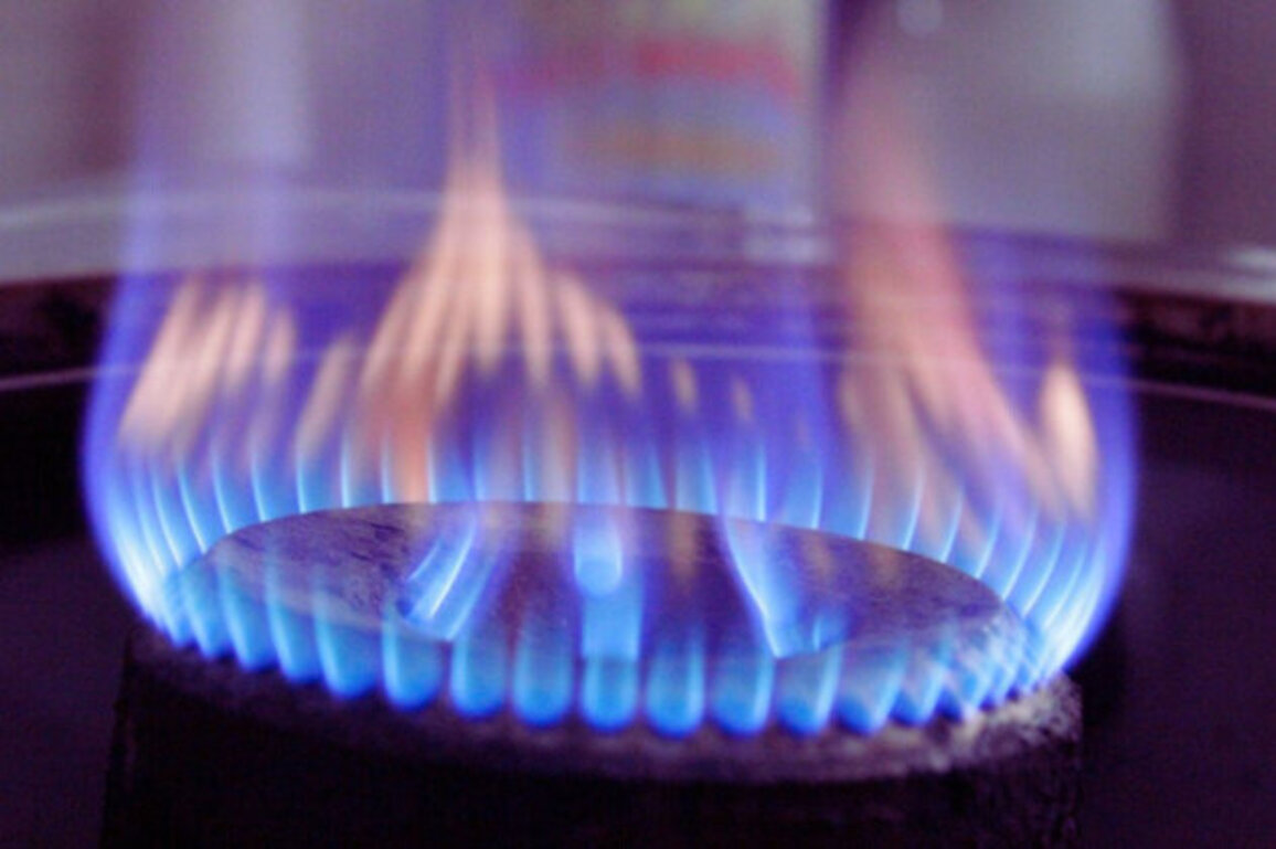 Bulgaria Cuts Natural Gas Prices by 3.3% for January