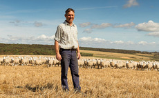 Isle of Wight beef farmer sets up own processing plant to take back control