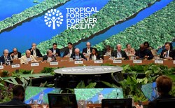 COP30: Over $5.5bn pledged to launch Tropical Forest Forever Facility