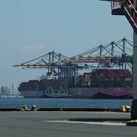 California's ports face economic devastation as tariffs cripple trade with Asia-Pacific